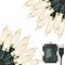 33FT 100 LED Christmas String Lights – USB or Battery Powered, 8 Modes with Timer & Memory Function, Waterproof Indoor/Outdoor Fairy Lights for Holiday, Party, Tree, Fence Decor (Warm White)